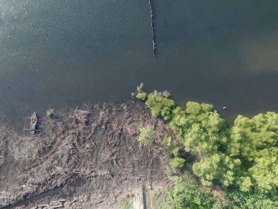 Kawasan Mangrove Rusak di Bengkulu