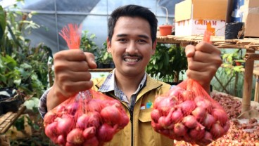 Bukan Program Karpet Merah, Petani Milenial Harus Jeli Lihat Peluang