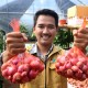 Bukan Program Karpet Merah, Petani Milenial Harus Jeli Lihat Peluang