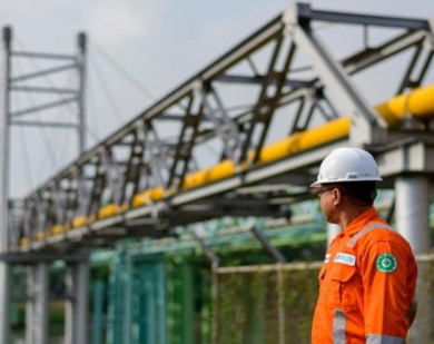 Nasib Kepemilikan Lo Kheng Hong & Hilal Dividen PGN (PGAS) 2023