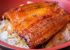 Ini Modal Bisnis Budidaya Ikan Sidat yang Mahal di Jepang, Mulai Rp5 Jutaan
