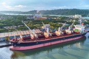Pelindo Multi Terminal Catatkan Hasil Kineja Positif di Triwulan I 2023