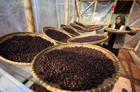 Tak Puas Hanya Jadi Penikmat Kopi, Savira Kini Jadi…