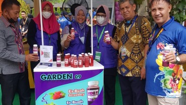 Kolaborasi dari Sebatang Anggur di Cipayung, Puluhan Juta Mengalir Setiap Bulan
