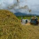 Vietnam Pangkas Ekspor Beras, Ini Catatan Pakar Soal Pertanian