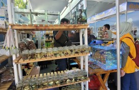 Wangi Duren dan Ragam Ikan Cupang di Inaugurasi Petani Milenial 2022