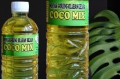 Kisah Sukses Lika-liku Mantan Penyuluh Produksi Ribuan Liter Minyak Kelapa