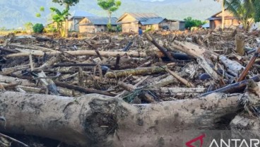 Banjir Parigi Moutong, 3.555 Jiwa Terdampak, Puluhan Rumah Rusak