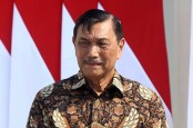 Luhut Bela Jokowi soal Ekspor Pasir Laut: Demi Kesehatan Laut Juga