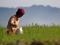 Serdang Bedagai Mewajibkan Produsen Sediakan Stok Pupuk Bersubsidi di Gudang