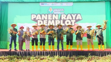 Pemkab Sumedang Gandeng Petrokimia Gresik Dorong Produktivitas Ubi Cilembu