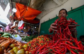 Ekonom Sebut Inflasi Mei 2023 Didorong Lonjakan Bawang Hingga Telur Ayam