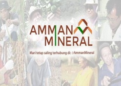 Jelang IPO, Kinerja Amman Mineral (AMMN) Lebih Moncer Ketimbang Antam dan Freeport?