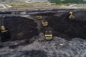 BlackRock Pegang Miliaran Saham Batu Bara Kakap Indonesia, BUMI Paling Jumbo