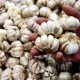 Makin Mahal! Harga Bawang Putih di Jakarta Tembus Rp44.000 per Kg