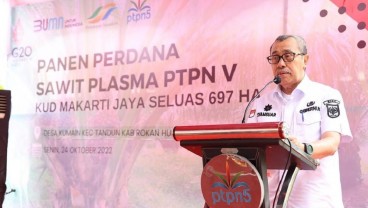 Kebun Plasma PTPN V Terluas di Riau Mencapai 56.000 Ha