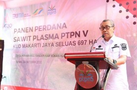 Kebun Plasma PTPN V Terluas di Riau Mencapai 56.000…