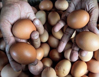 Pemerintah Dituding Ogah Intervensi Harga Telur, Bapanas Buka Suara