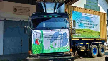 PTPN XII Ekspor 13 Ton Teh Premium ke Singapura