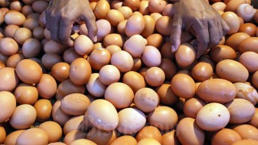 Update Harga Telur Ayam di Palembang Rp28.000 per Kilogram