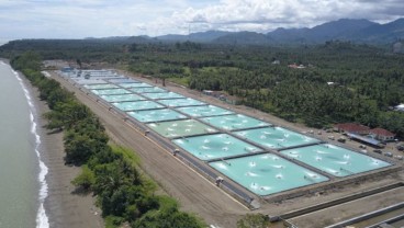 KKP Memulai Proyek Tambak Udang 1.800 Ha di Waingapu NTT