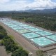 KKP Memulai Proyek Tambak Udang 1.800 Ha di Waingapu NTT