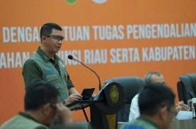 Rapat Bareng BNPB, Ini Strategi Riau Mencegah Karhula…