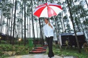 Momen Jokowi Ajak Warna Negara Singapura Tinggal di IKN