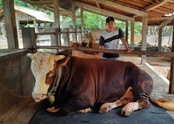 Rekomendasi Ide Bisnis Menggiurkan Jelang Hari Raya Iduladha