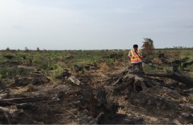 Sembilan Kabupaten/Kota di Kalteng Berstatus Darurat Bencana Karhutla