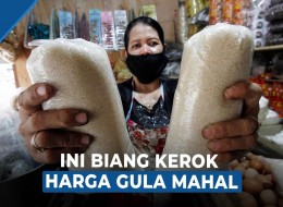 Harga Gula Dunia Naik, Tekanan atau Peluang untuk RI?