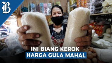 Harga Gula Dunia Naik, Tekanan atau Peluang untuk RI?