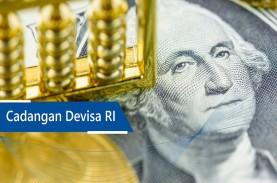 Cadangan Devisa RI Diperkirakan sekitar US$150 Miliar…