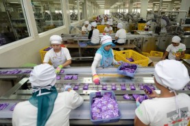 Kenaikan Penjualan Obat Terbatas, Bagaimana Prospek…