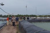 Bisnis Tambak Udang Vaname Kian Menggiurkan