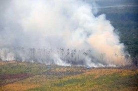 Update Kebakaran Hutan di Kanada: Ditemukan 10 Titik…