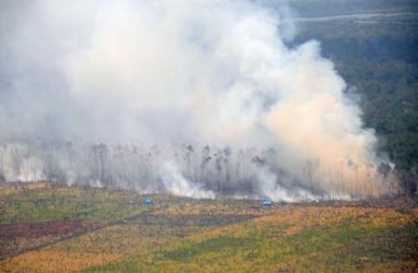 Update Kebakaran Hutan di Kanada: Ditemukan 10 Titik Baru Kebakaran