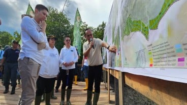 KLHK, BRGM, dan Freeport Indonesia Rehabilitasi 2.000 Hektar Lahan Mangrove di Kaltim