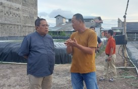 BI Riau Dorong Pengembangan SDM Tambak Udang Vaname di Bengkalis
