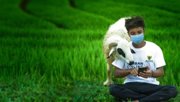 Hari Raya Iduladha 1444 H Potensi Berbeda, Muhammadiyah 28 Juni, Pemerintah Tunggu Sidang Isbat