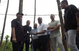 Puluhan Pengusaha Prancis Kunjungi IKN Nusantara, Minat Investasi?
