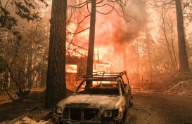 Dampak Perubahan Iklim, Luas Kebakaran Hutan di California Meningkat Lima Kali Sejak 1971