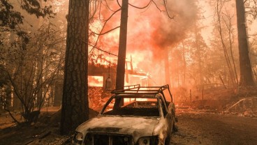 Dampak Perubahan Iklim, Luas Kebakaran Hutan di California Meningkat Lima Kali Sejak 1971