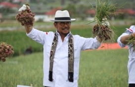 Berkunjung ke Sentra Bawang Merah di Solok, Ini Pesan Mentan SYL