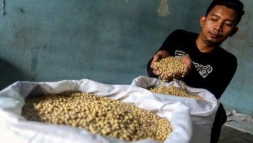 Bulog Siap Pasok Kedelai, Perajin Tahu Tempe Jangan Khawatir