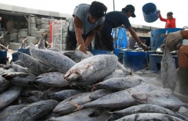 Rapor Resi Gudang per Mei 2023, Komoditas Ikan Paling Laris