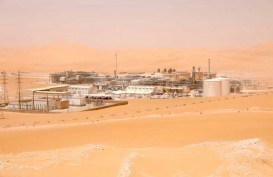Pertamina Bakal Bangun Pabrik LPG di Aljazair