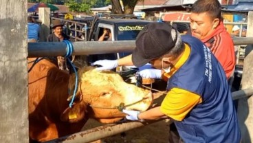 Pengawasan Hewan Ternak di Trenggalek Diperketat