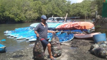 Sampah Menahun di Hutan Mangrove Bali, Begini Penanganannya