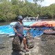 Sampah Menahun di Hutan Mangrove Bali, Begini Penanganannya